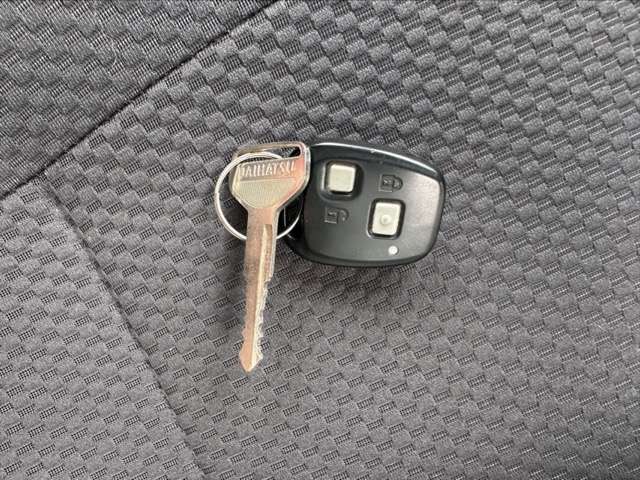 ダイハツ ハイゼットカーゴ ６６０ クルーズ リミテッド ハイルーフ H29年 (東海) 99