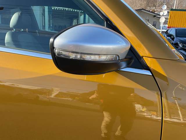 フォルクスワーゲン ザ　ビートル デューン H28年 (東北) 99