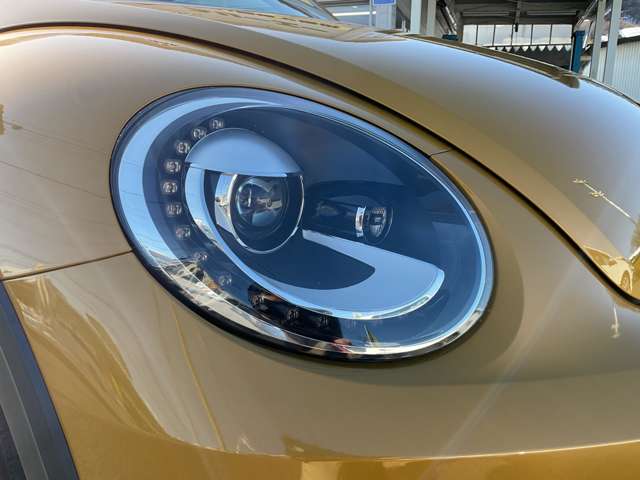 フォルクスワーゲン ザ　ビートル デューン H28年 (東北) 99