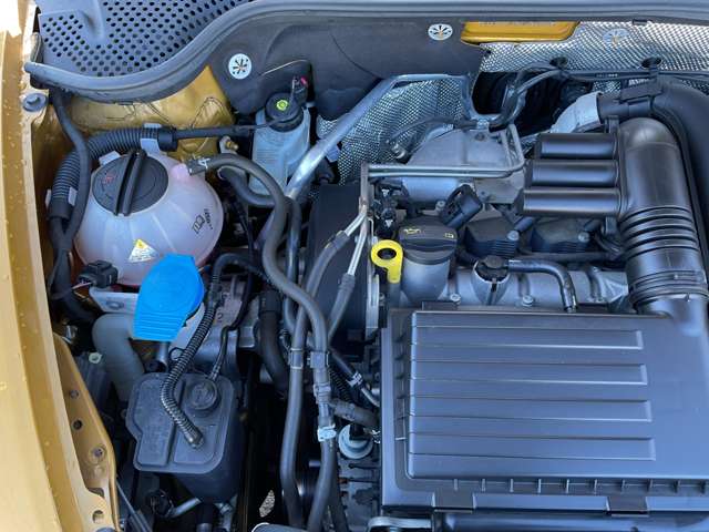 フォルクスワーゲン ザ　ビートル デューン H28年 (東北) 99