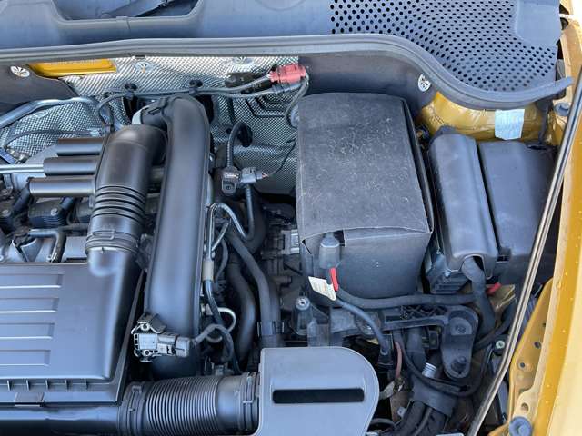 フォルクスワーゲン ザ　ビートル デューン H28年 (東北) 99