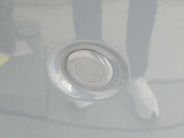 ダイハツ ムーヴ　キャンバス ６６０ ストライプス Ｘ R7年 (東北) 99