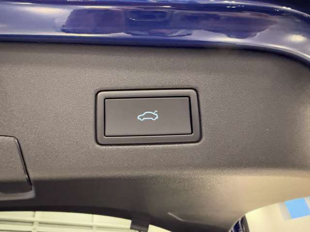 フォルクスワーゲン ＩＤ．４ プロ R5年 (関東) 99