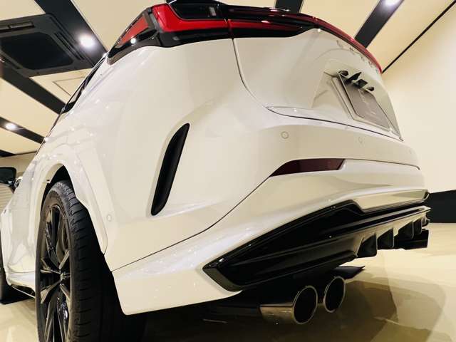 レクサス ＮＸ３５０ ３５０ Ｆスポーツ ４ＷＤ R6年 (東海) 99