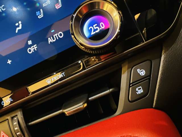 レクサス ＮＸ３５０ ３５０ Ｆスポーツ ４ＷＤ R6年 (東海) 99