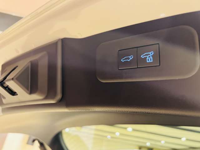 レクサス ＮＸ３５０ ３５０ Ｆスポーツ ４ＷＤ R6年 (東海) 99