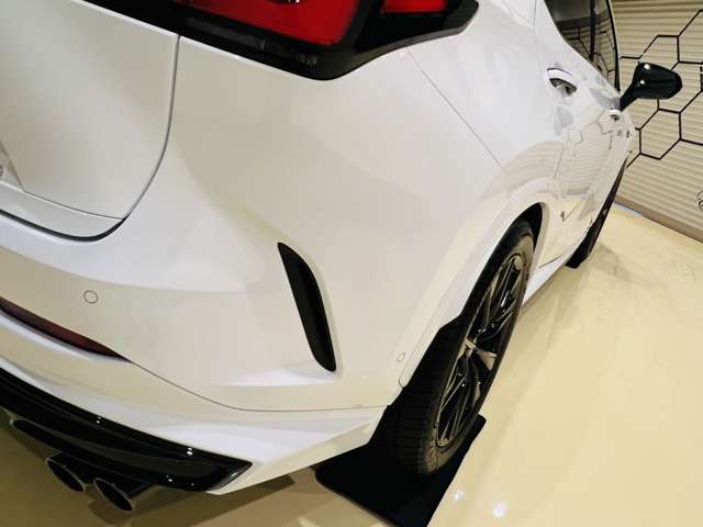 レクサス ＮＸ３５０ ３５０ Ｆスポーツ ４ＷＤ R6年 (東海) 99