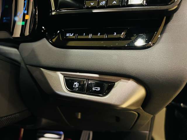 レクサス ＲＸ５００ｈ ５００Ｈ Ｆスポーツ パフォーマンス ４ＷＤ R5年 (東海) 99