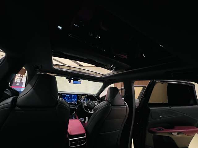 レクサス ＲＸ５００ｈ ５００Ｈ Ｆスポーツ パフォーマンス ４ＷＤ R5年 (東海) 99