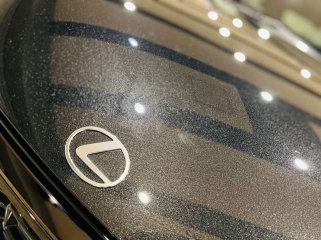 レクサス ＬＢＸ モリゾウ ＲＲ ビスポーク ビルド ４ＷＤ R7年 (東海) 99