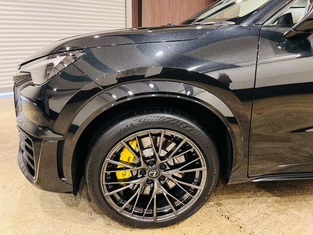 レクサス ＬＢＸ モリゾウ ＲＲ ビスポーク ビルド ４ＷＤ R7年 (東海) 99