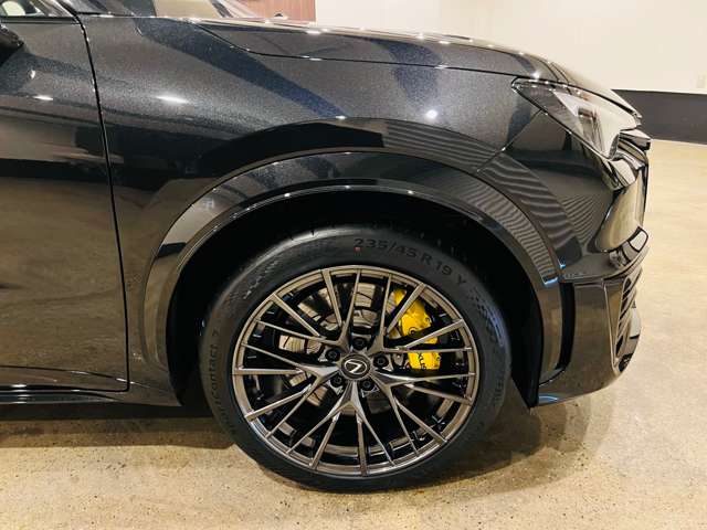 レクサス ＬＢＸ モリゾウ ＲＲ ビスポーク ビルド ４ＷＤ R7年 (東海) 99