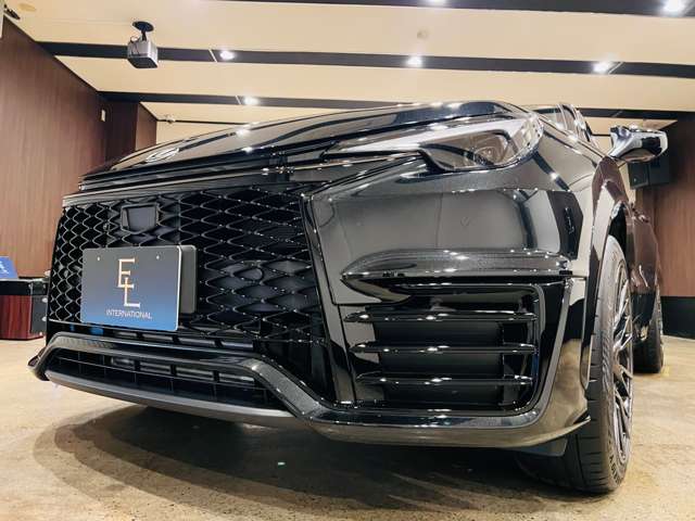 レクサス ＬＢＸ モリゾウ ＲＲ ビスポーク ビルド ４ＷＤ R7年 (東海) 99