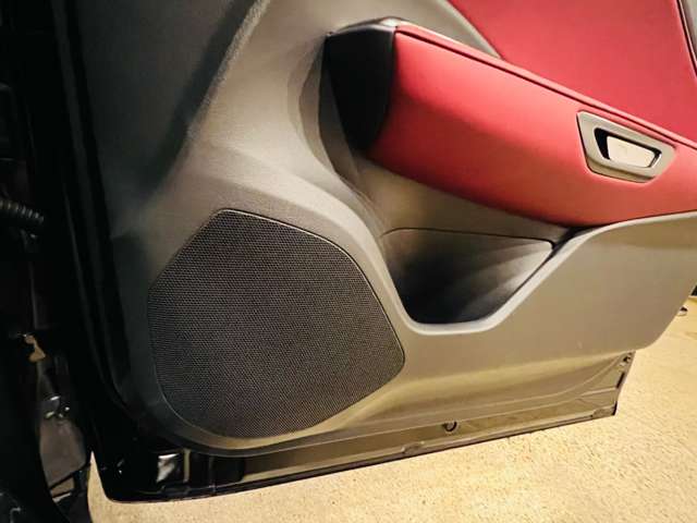 レクサス ＬＢＸ モリゾウ ＲＲ ビスポーク ビルド ４ＷＤ R7年 (東海) 99