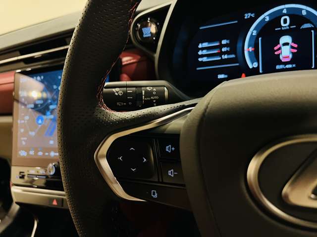 レクサス ＬＢＸ モリゾウ ＲＲ ビスポーク ビルド ４ＷＤ R7年 (東海) 99