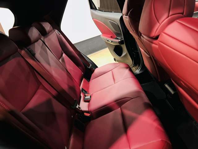 レクサス ＬＢＸ モリゾウ ＲＲ ビスポーク ビルド ４ＷＤ R7年 (東海) 99