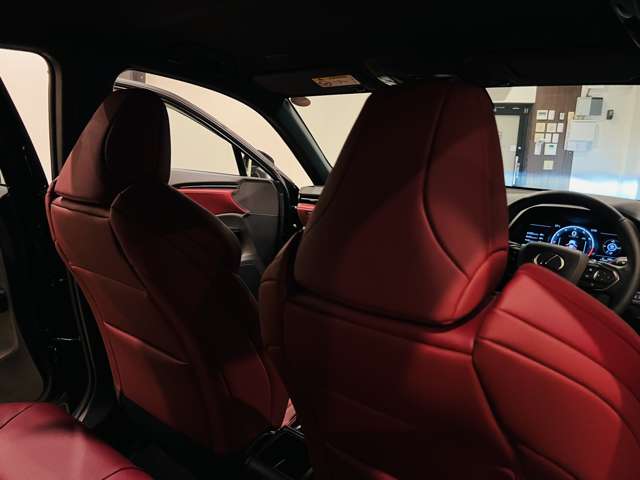 レクサス ＬＢＸ モリゾウ ＲＲ ビスポーク ビルド ４ＷＤ R7年 (東海) 99