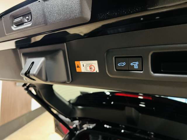 レクサス ＬＢＸ モリゾウ ＲＲ ビスポーク ビルド ４ＷＤ R7年 (東海) 99