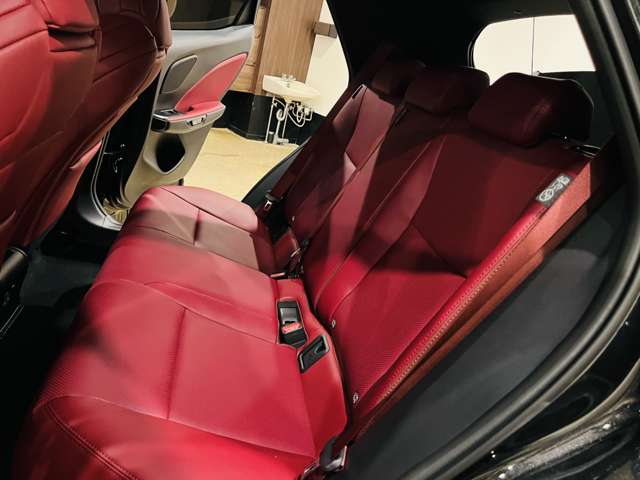 レクサス ＬＢＸ モリゾウ ＲＲ ビスポーク ビルド ４ＷＤ R7年 (東海) 99