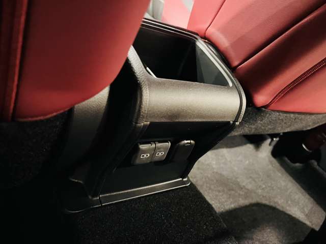 レクサス ＬＢＸ モリゾウ ＲＲ ビスポーク ビルド ４ＷＤ R7年 (東海) 99