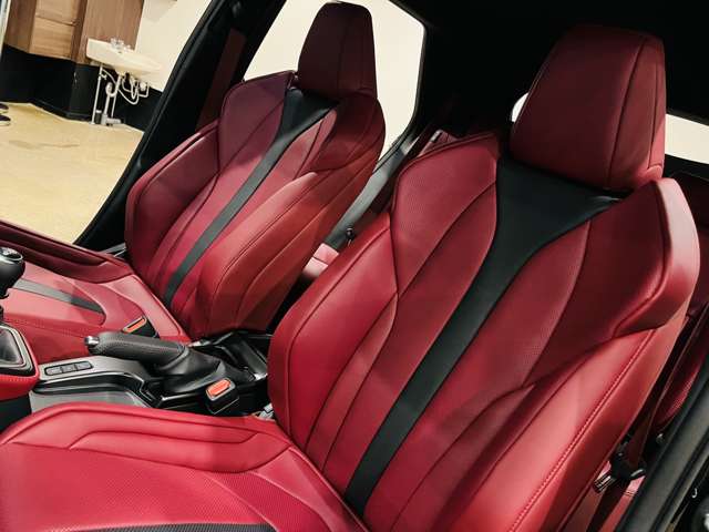 レクサス ＬＢＸ モリゾウ ＲＲ ビスポーク ビルド ４ＷＤ R7年 (東海) 99