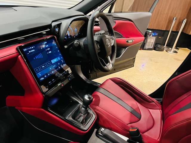 レクサス ＬＢＸ モリゾウ ＲＲ ビスポーク ビルド ４ＷＤ R7年 (東海) 99