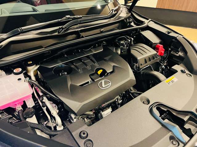 レクサス ＬＢＸ モリゾウ ＲＲ ビスポーク ビルド ４ＷＤ R7年 (東海) 99