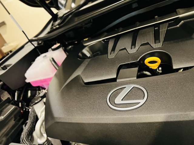 レクサス ＬＢＸ モリゾウ ＲＲ ビスポーク ビルド ４ＷＤ R7年 (東海) 99