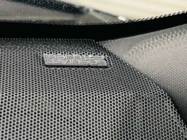 レクサス ＬＢＸ モリゾウ ＲＲ ビスポーク ビルド ４ＷＤ R7年 (東海) 99