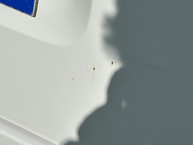 ホンダ Ｎ−ＶＡＮ ６６０ Ｌ ４ＷＤ R3年 (東海) 99