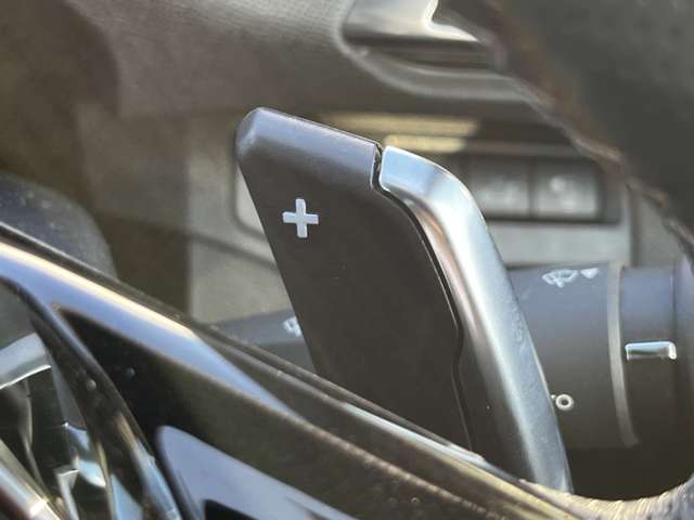 プジョー ３００８ ＧＴライン ブルーＨＤＩ ディーゼルターボ R2年 (東北) 99