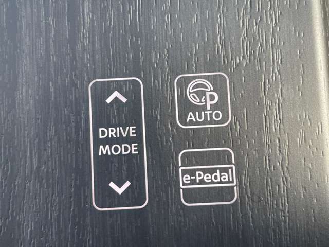 日産 アリア Ｂ９ Ｅ－４ＯＲＣＥ ４ＷＤ R6年 (東北) 99