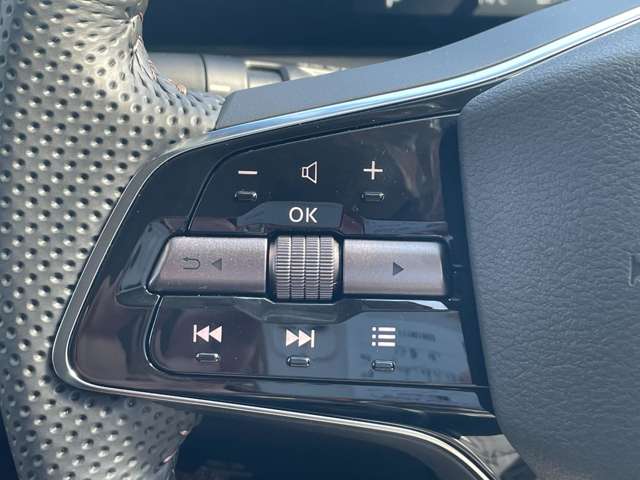 日産 アリア Ｂ９ Ｅ－４ＯＲＣＥ ４ＷＤ R6年 (東北) 99