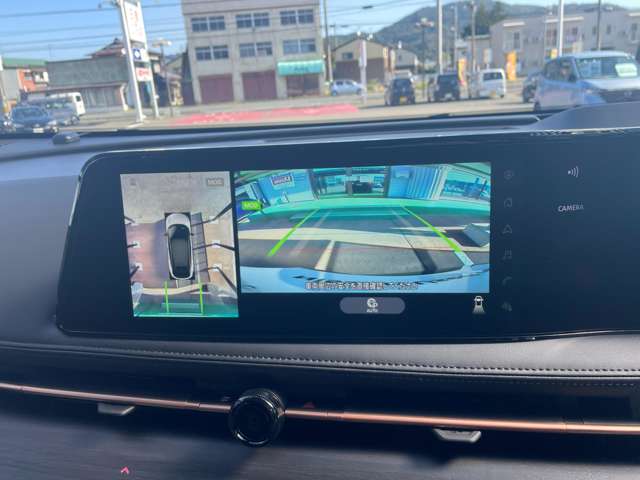 日産 アリア Ｂ９ Ｅ－４ＯＲＣＥ ４ＷＤ R6年 (東北) 99