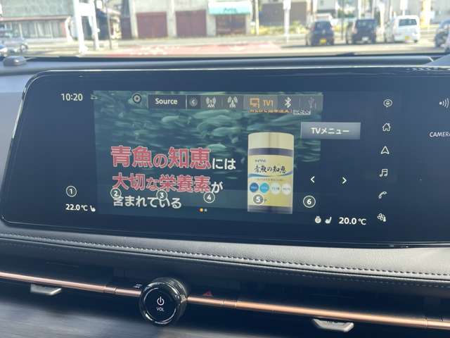 日産 アリア Ｂ９ Ｅ－４ＯＲＣＥ ４ＷＤ R6年 (東北) 99