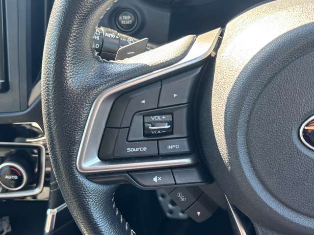 スバル フォレスター　ハイブリッド ２．０ アドバンス ４ＷＤ R1年 (九州・沖縄) 99