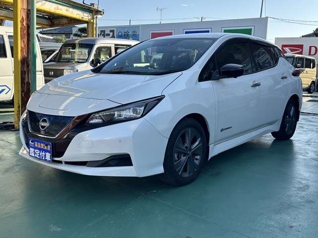 日産 リーフ アーバンクロム R3年 (東海) 99