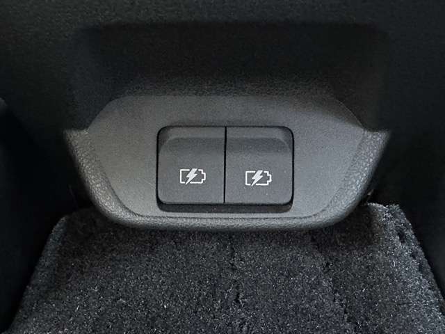 日産 リーフ アーバンクロム R3年 (東海) 99