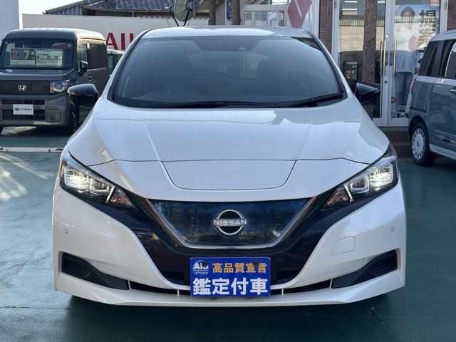 日産 リーフ アーバンクロム R3年 (東海) 99