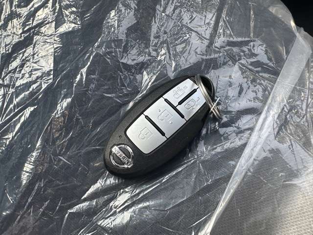 日産 ルークス ６６０ ハイウェイスターＸ プロパイロット エディション R4年 (東海) 99