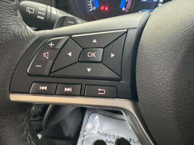 三菱 デリカ　ミニ ６６０ Ｔ プレミアム ４ＷＤ R7年 (北海道) 99