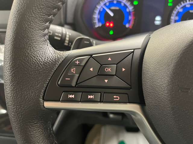 三菱 デリカ　ミニ ６６０ Ｇ プレミアム ４ＷＤ R6年 (北海道) 99