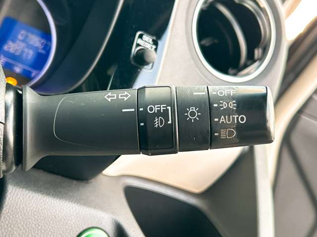 ホンダ Ｎ−ＷＧＮ ６６０ カスタムＧ ＳＳパッケージ H29年 (九州・沖縄) 99