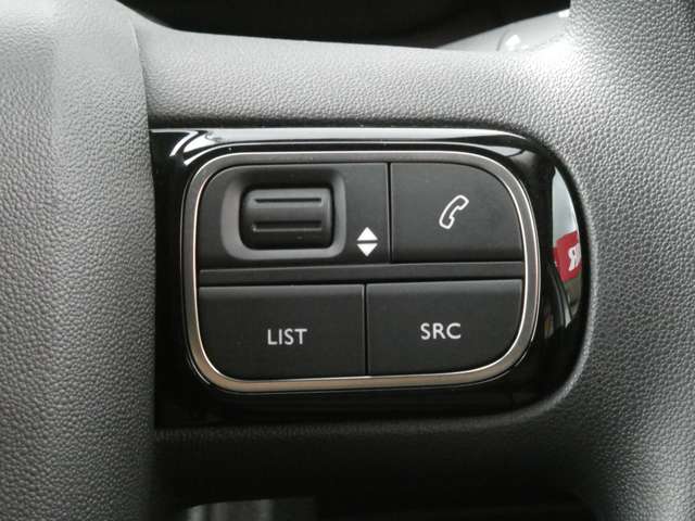 シトロエン Ｃ３ フィール H30年 (関東) 99