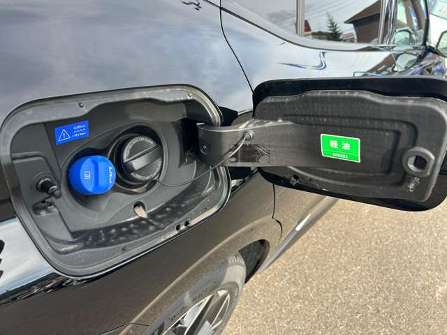 シトロエン ＤＳ４ エトワール ブルーＨＤＩ ディーゼルターボ R7年 (東北) 99