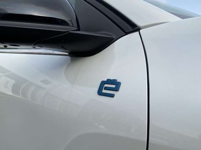 シトロエン Ｅ−Ｃ４ マックス R6年 (東北) 99