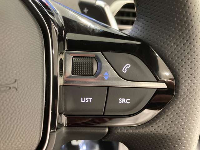 プジョー ３００８ ＧＴ　エグゼクティブエディション R6年 (東北) 99