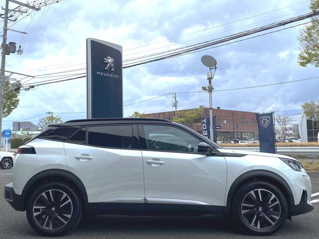 プジョー ｅ−２００８ ＧＴ R6年 (東北) 99