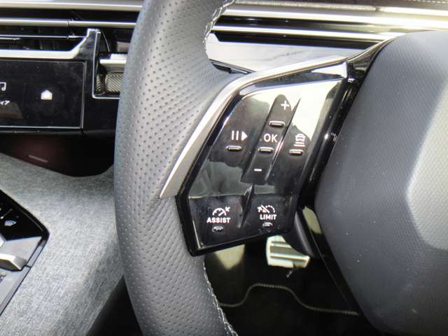 プジョー ３００８ ＧＴ アルカンタラパッケージ ハイブリッド R7年 (東北) 99