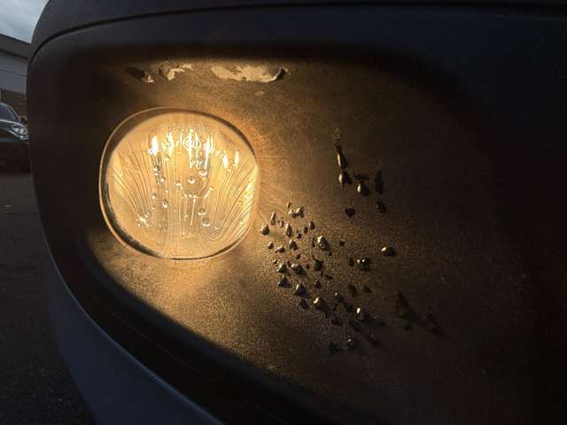 フィアット パンダ イージー R2年 (東北) 99